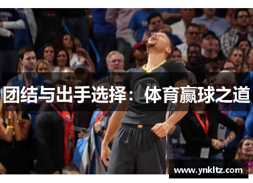 团结与出手选择：体育赢球之道