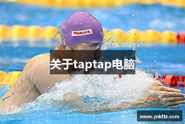 关于taptap电脑